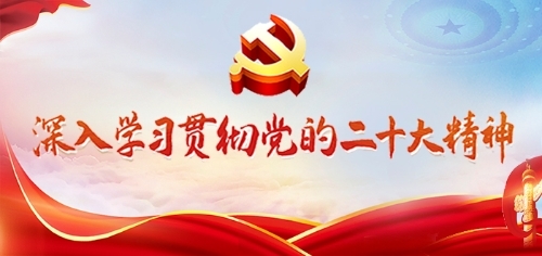 深入学习贯彻党的二十大精神